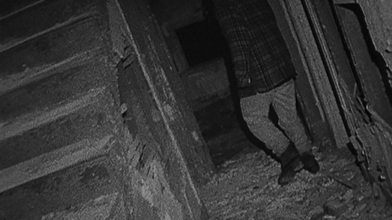 Blair Witch Project - Le meilleur film de found footage ou juste des étudiants qui filment des arbres ?